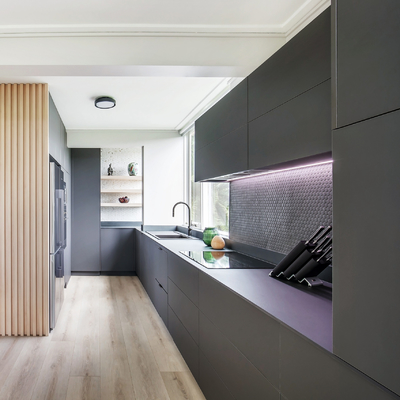 ตู้แขวนไม้หรูหราปรับแต่ง 2 Pac Matt Grey Finish Base Cabinet